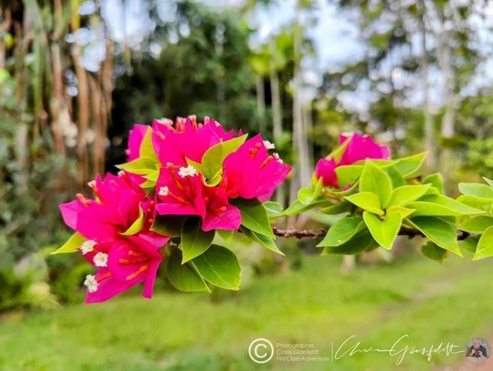 Phurin Thara Resort Ko Lanta Εξωτερικό φωτογραφία